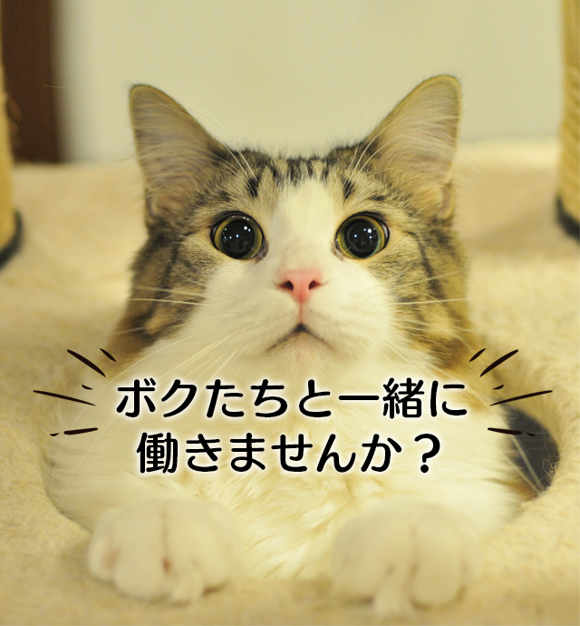 時給足りてる？